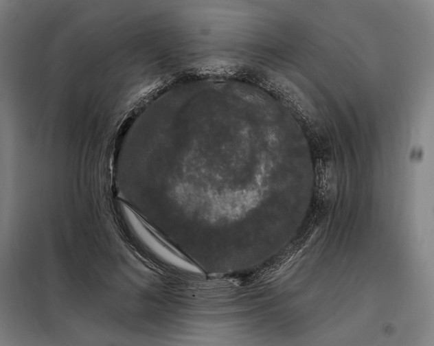 X0000097990692200804021009
