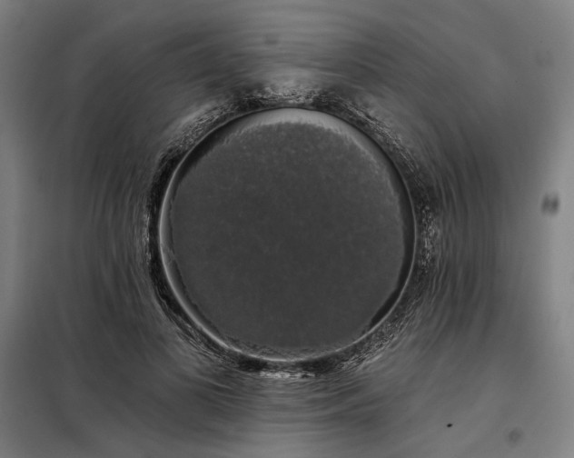X0000097990693200804021009