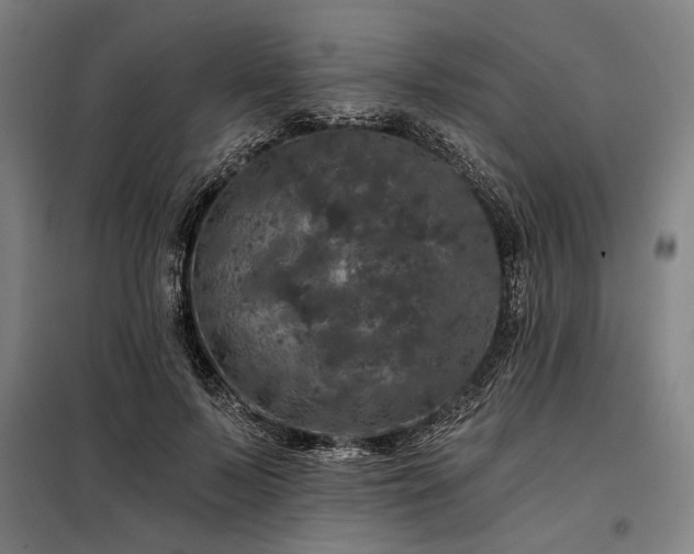 X0000097990695200804021009