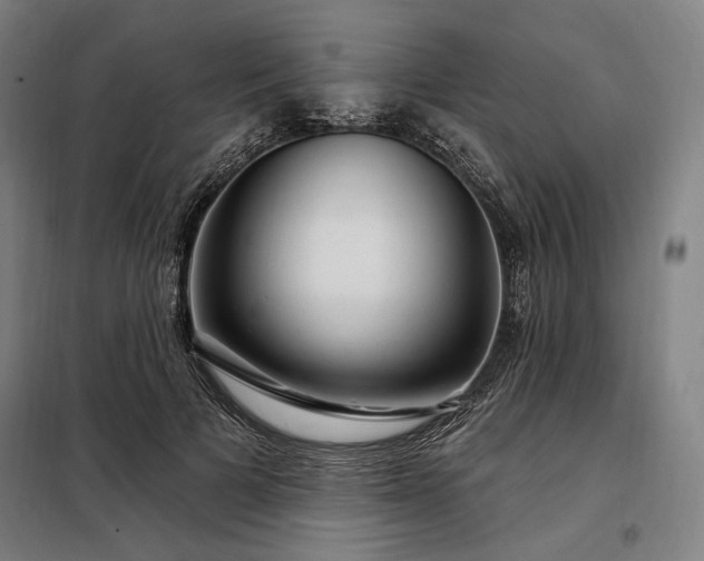 X0000097990697200804021009
