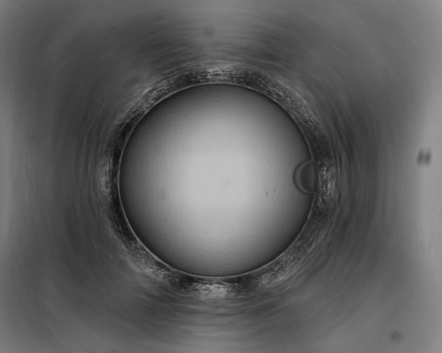 X0000097990698200804021009