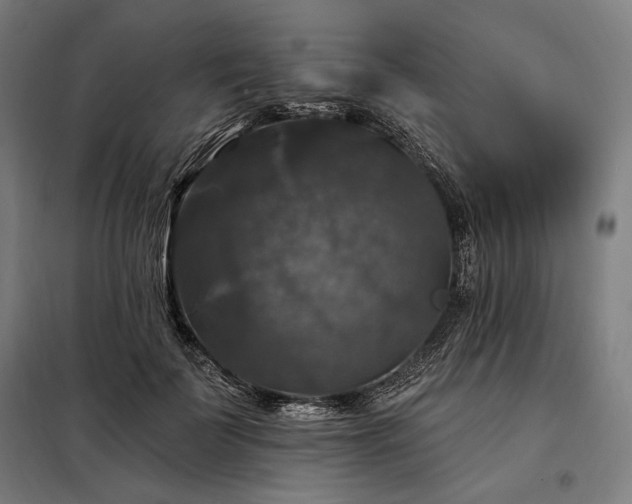 X0000097990699200804021009