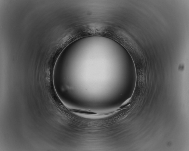X0000097990700200804021009