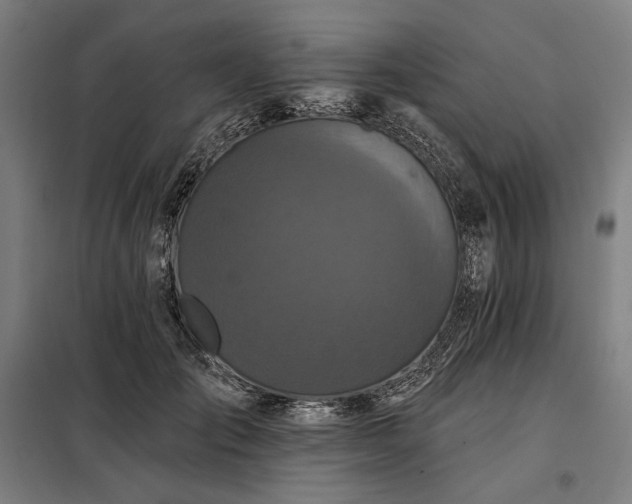 X0000097990701200804021008