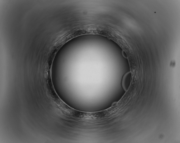 X0000097990702200804021008