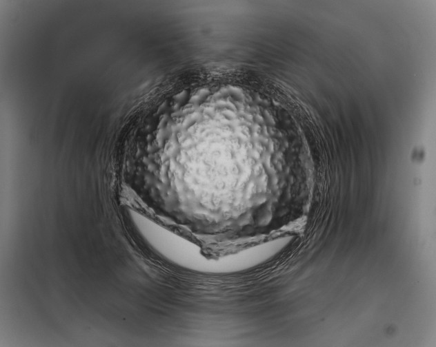 X0000097990703200804021008