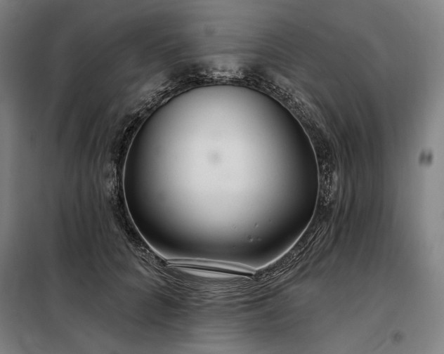 X0000097990704200804021008