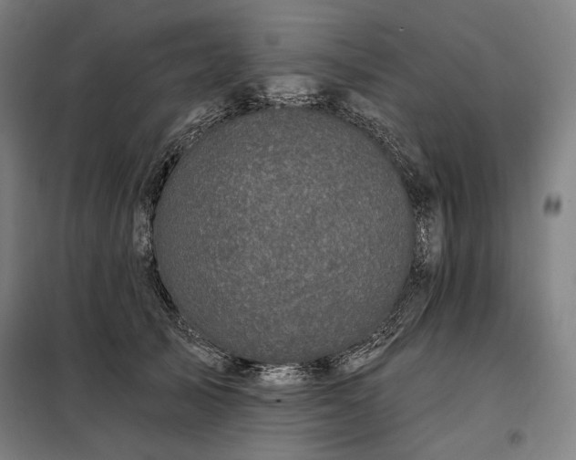 X0000097990705200804021008