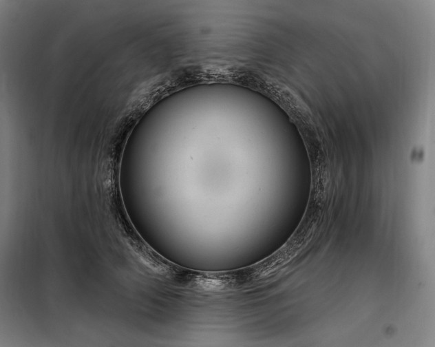 X0000097990706200804021008