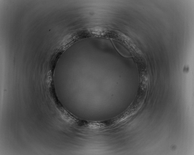 X0000097990707200804021008