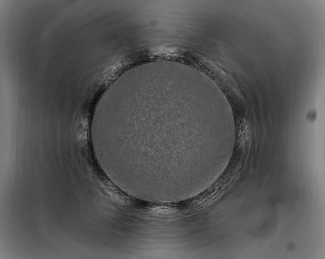 X0000097990708200804021008