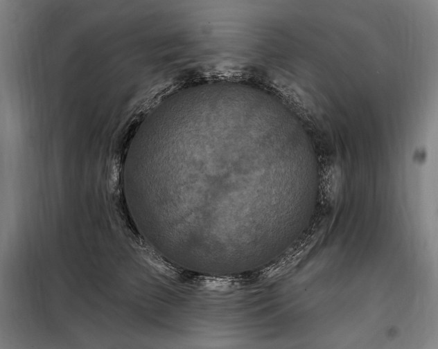 X0000097990709200804021008