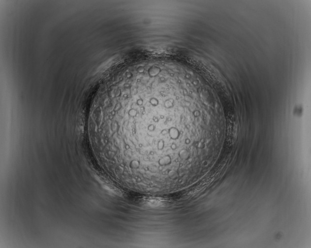 X0000097990710200804021008