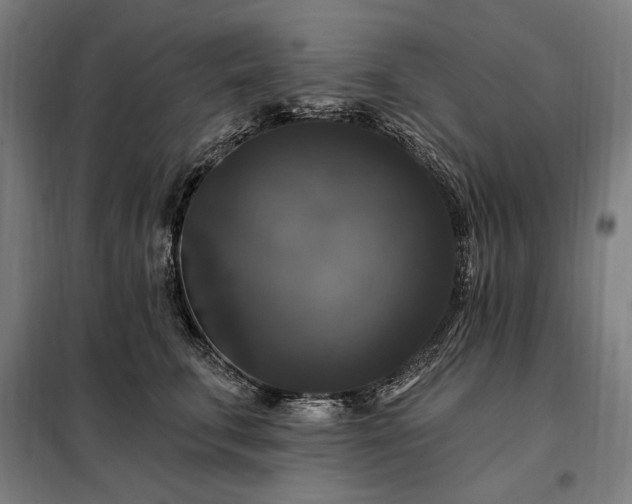 X0000097990711200804021008