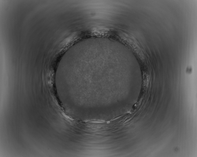 X0000097990712200804021008