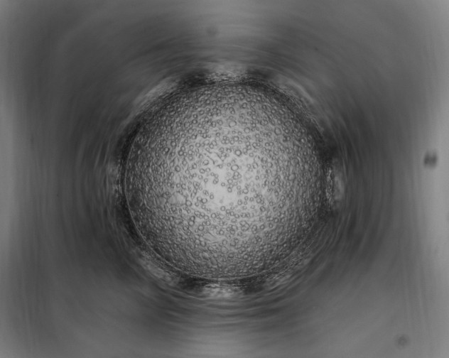 X0000097990714200804021008