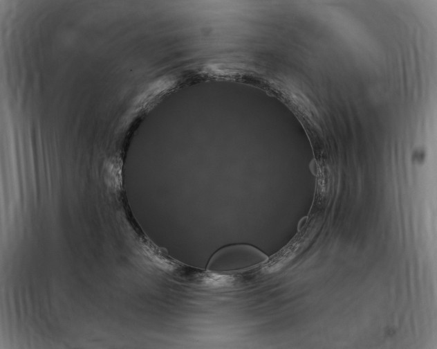 X0000097990718200804021008