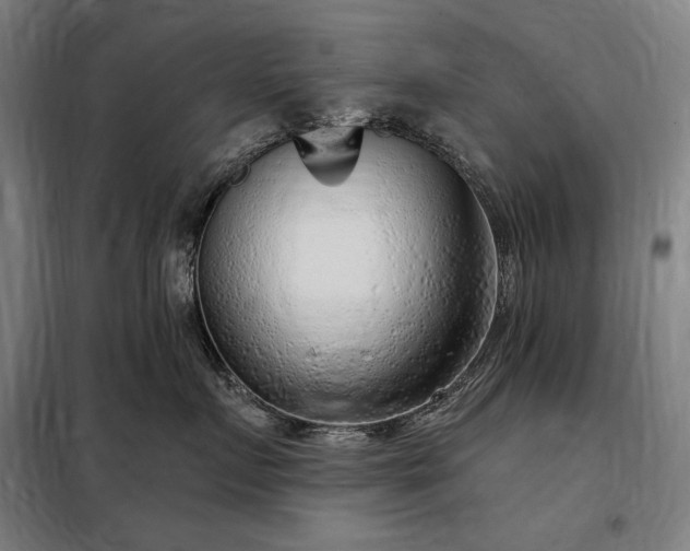 X0000097990719200804021008
