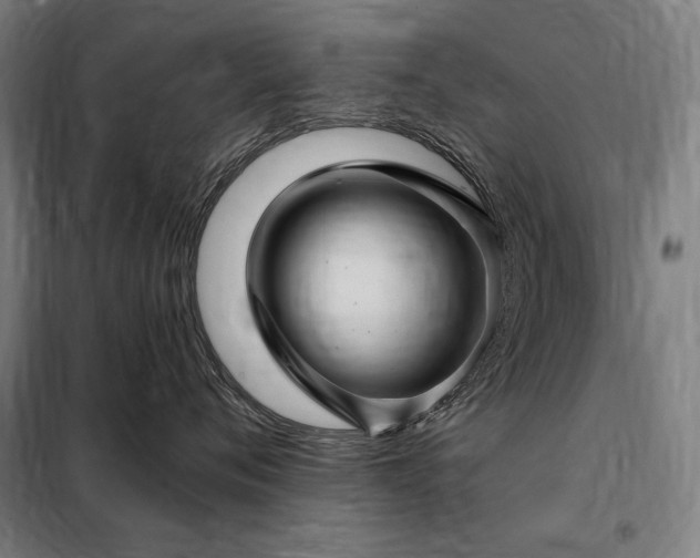 X0000097990720200804021008