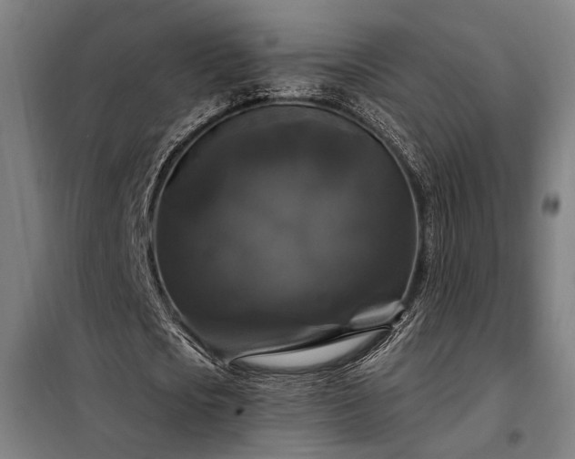 X0000097990721200804021008