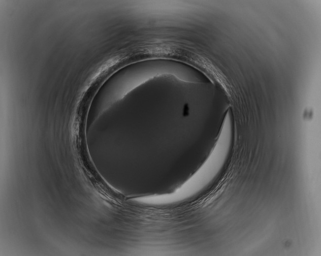 X0000097990723200804021008