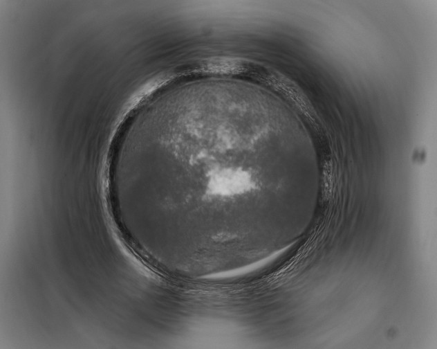 X0000097990726200804021008