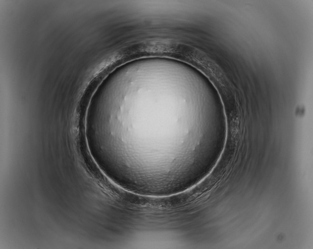 X0000097990727200804021008