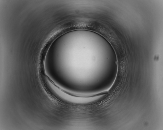 X0000097990728200804021008