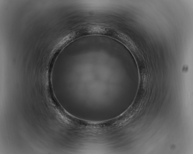 X0000097990729200804021008