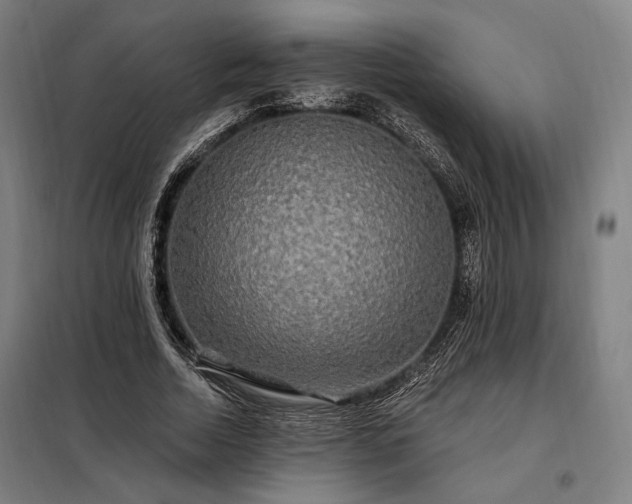 X0000097990730200804021008