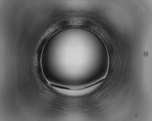 X0000097990731200804021008