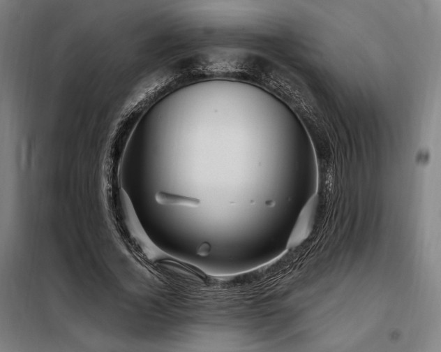 X0000097990732200804021008