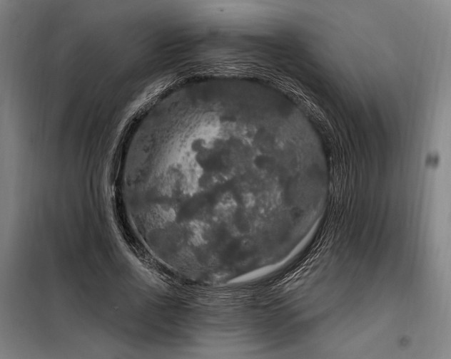X0000097990734200804021008