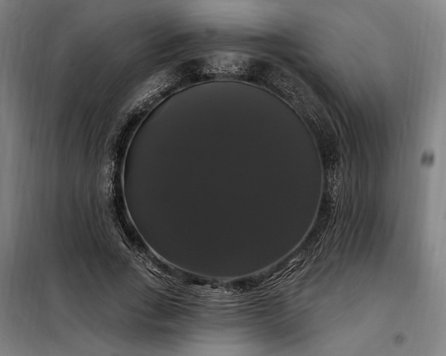 X0000097990735200804021008