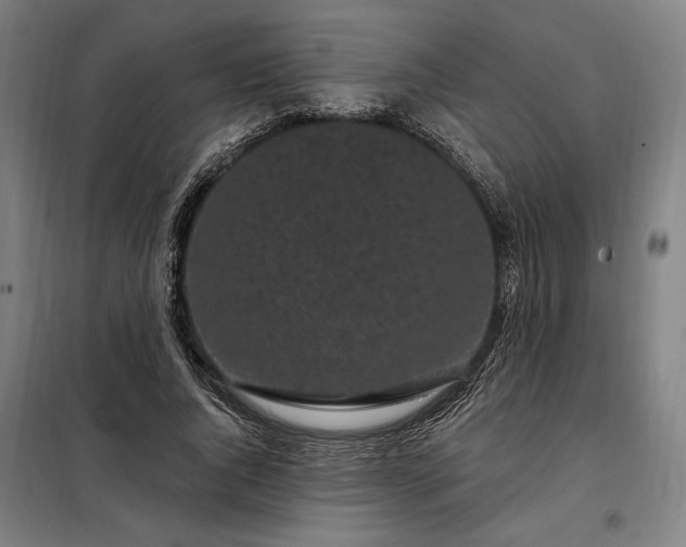X0000097990736200804021008