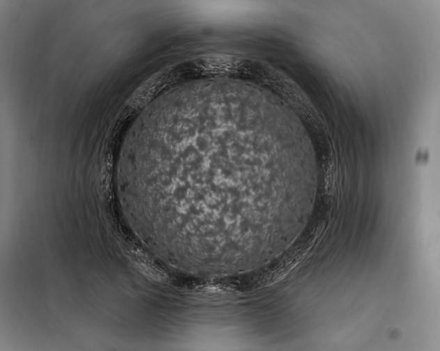 X0000097990737200804021008