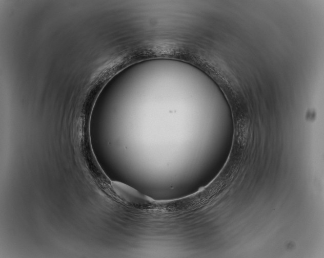 X0000097990740200804021008