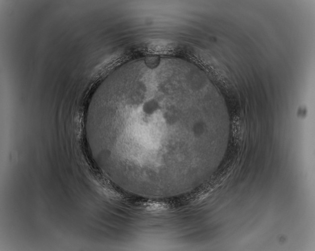 X0000097990741200804021008
