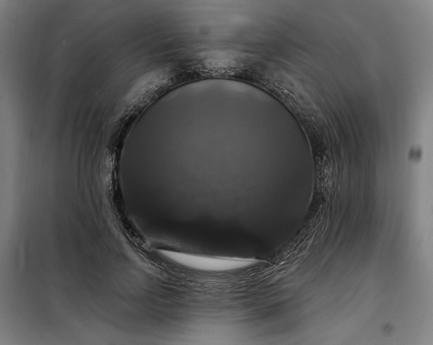 X0000097990742200804021008