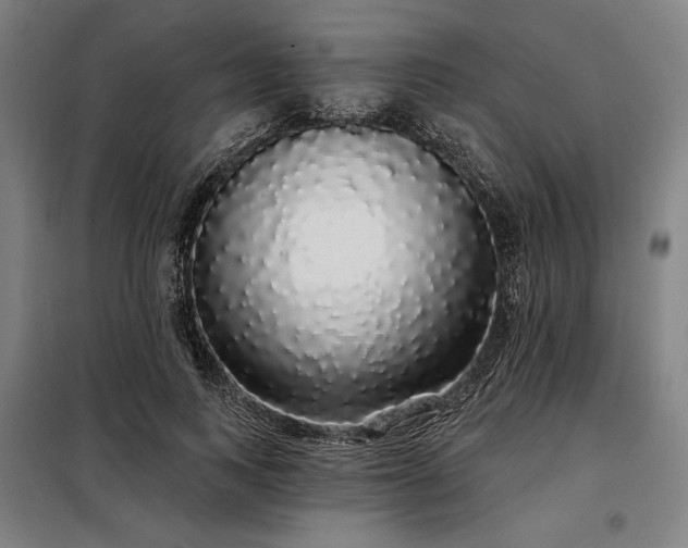 X0000097990743200804021008