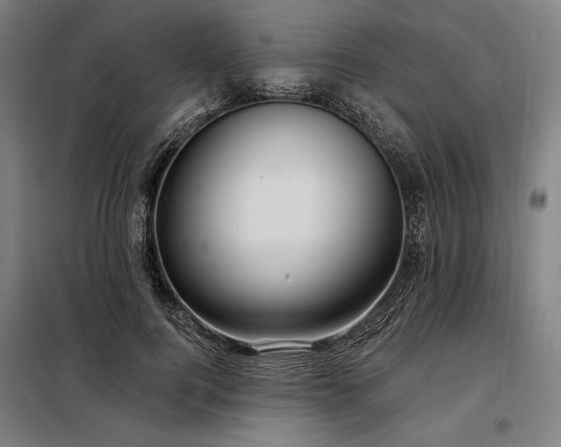 X0000097990744200804021008