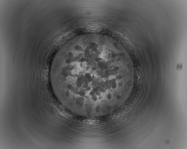 X0000097990745200804021008