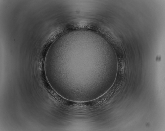 X0000097990746200804021008