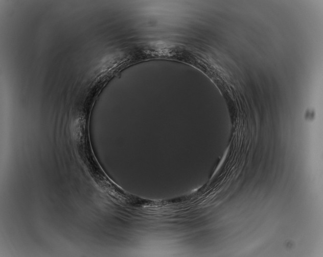 X0000097990747200804021008