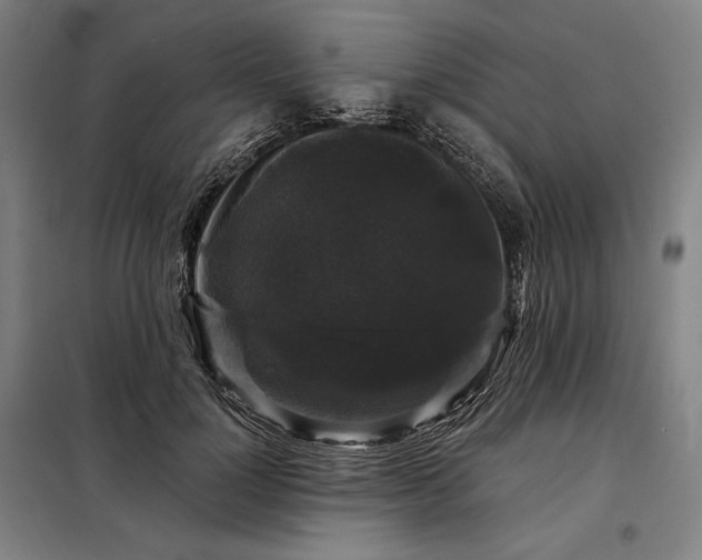 X0000097990748200804021008