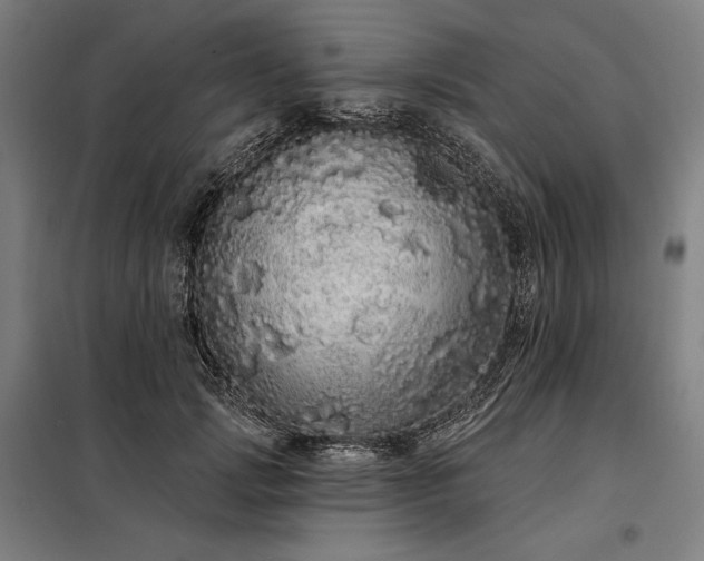 X0000097990749200804021008
