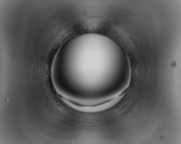 X0000097990750200804021008