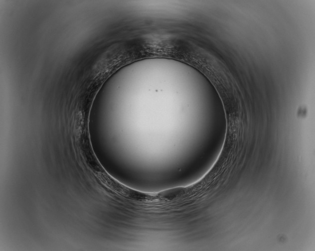 X0000097990752200804021008