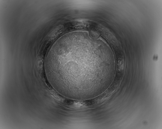 X0000097990753200804021008