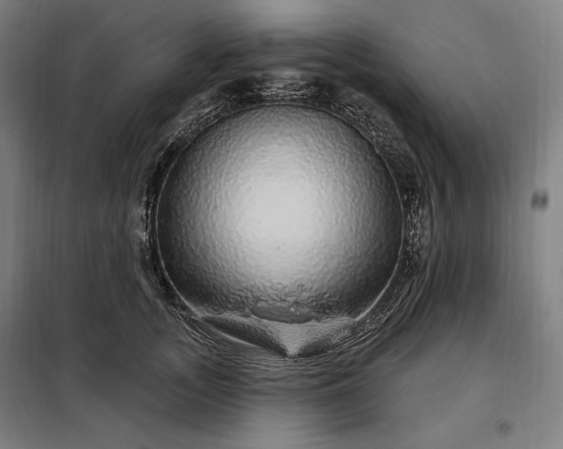 X0000097990755200804021008